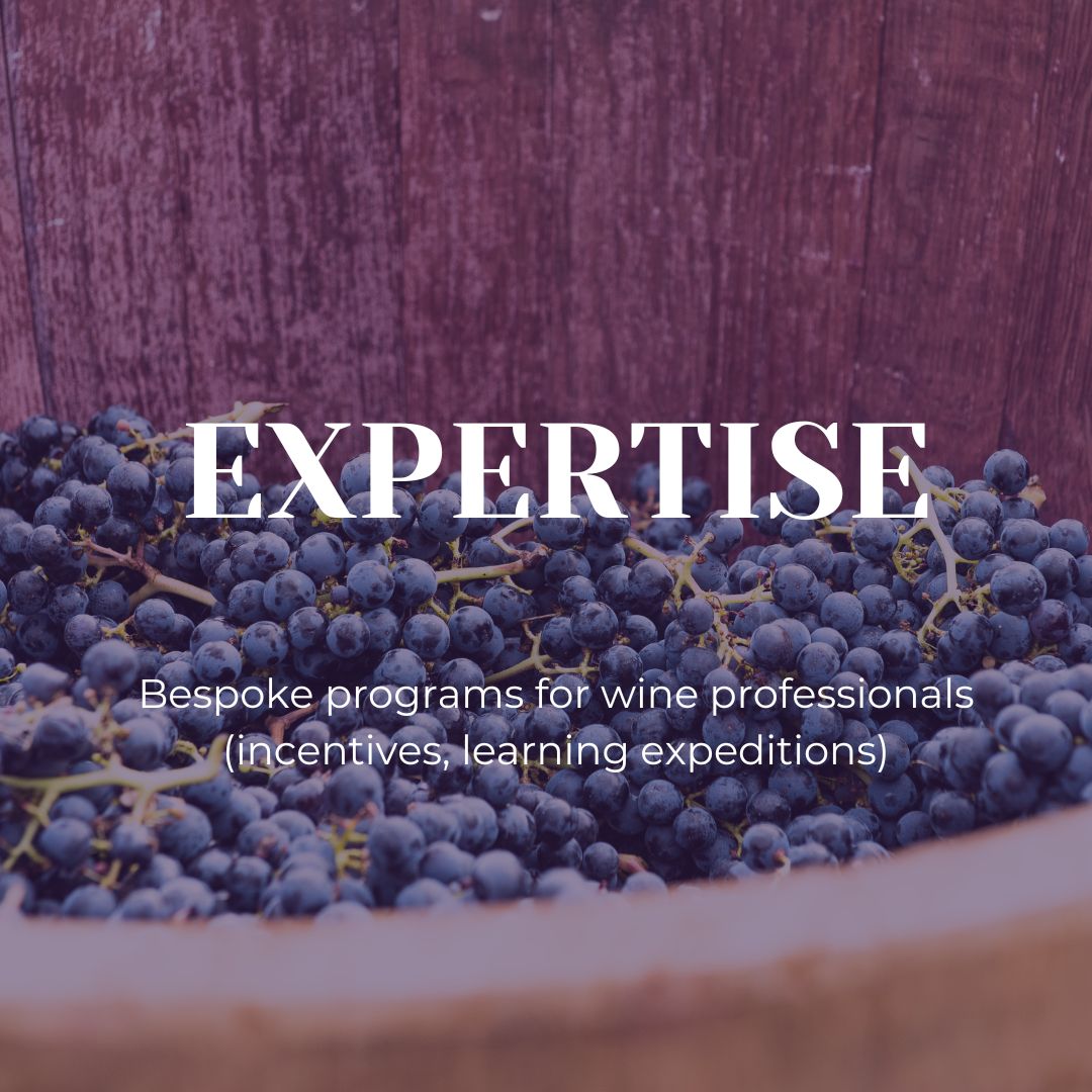 expertise wine stay